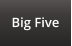 Big Five
