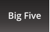Big Five